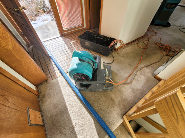 Best Water damage restoration experts  in Dennison, OH