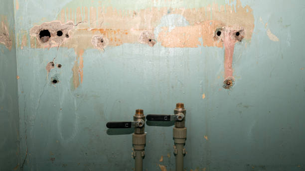 Best Flooded house restoration  in Dennison, OH